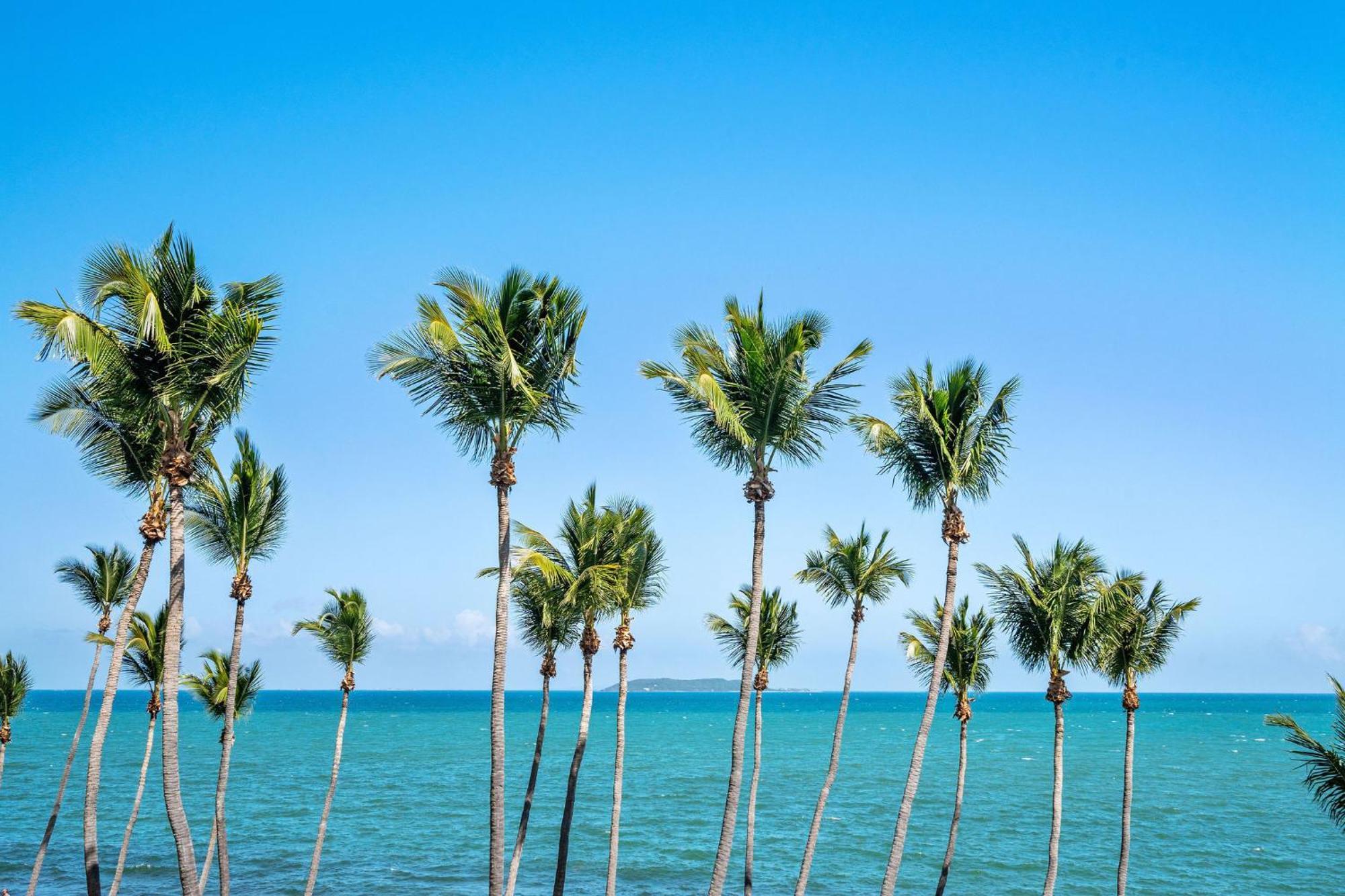 Your Ocean Zen Oasis Apartment Fajardo Luaran gambar